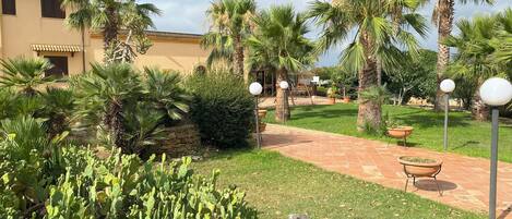 A courtyard with palm trees, a cactus garden, and a patio area with outdoor furniture.
