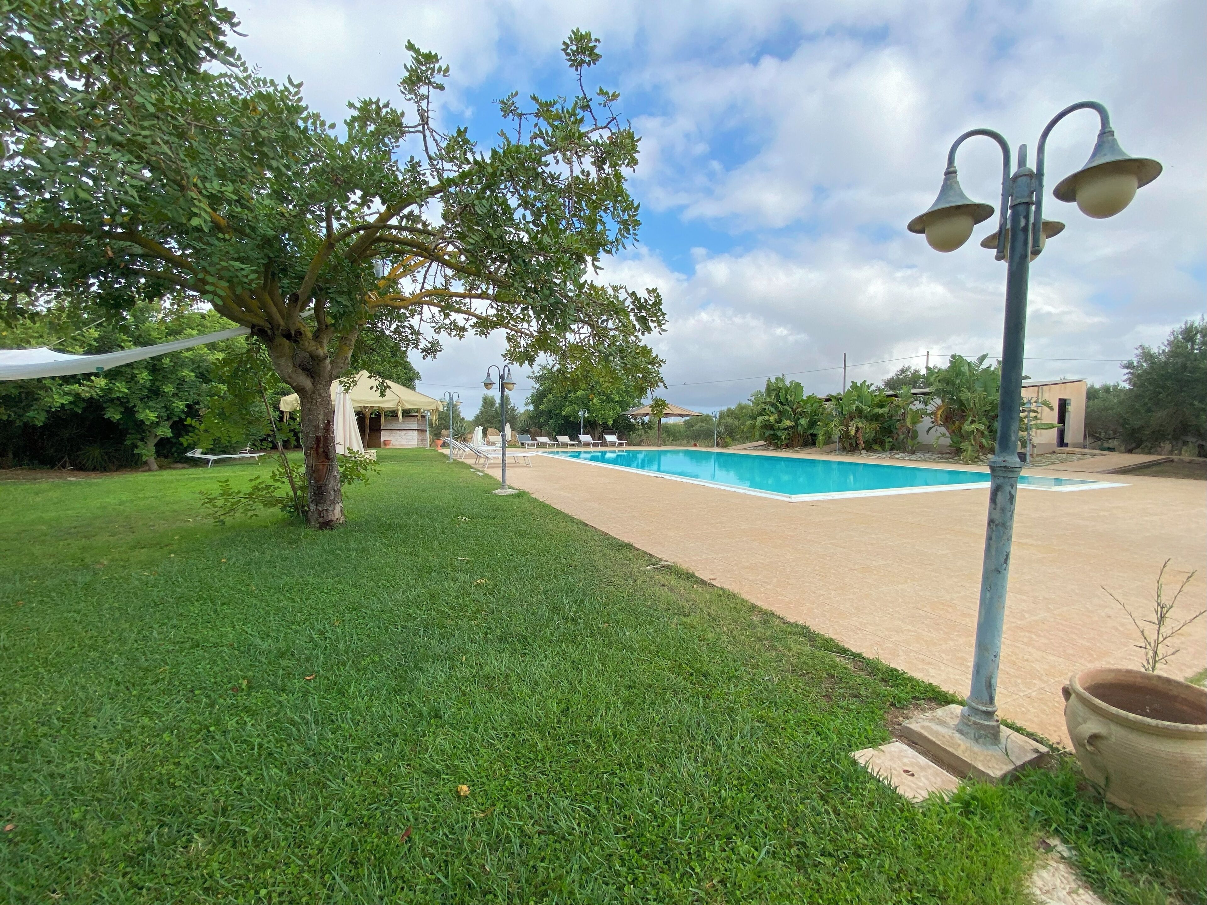 A swimming pool surrounded by a grassy area with a few trees and a building in the background.