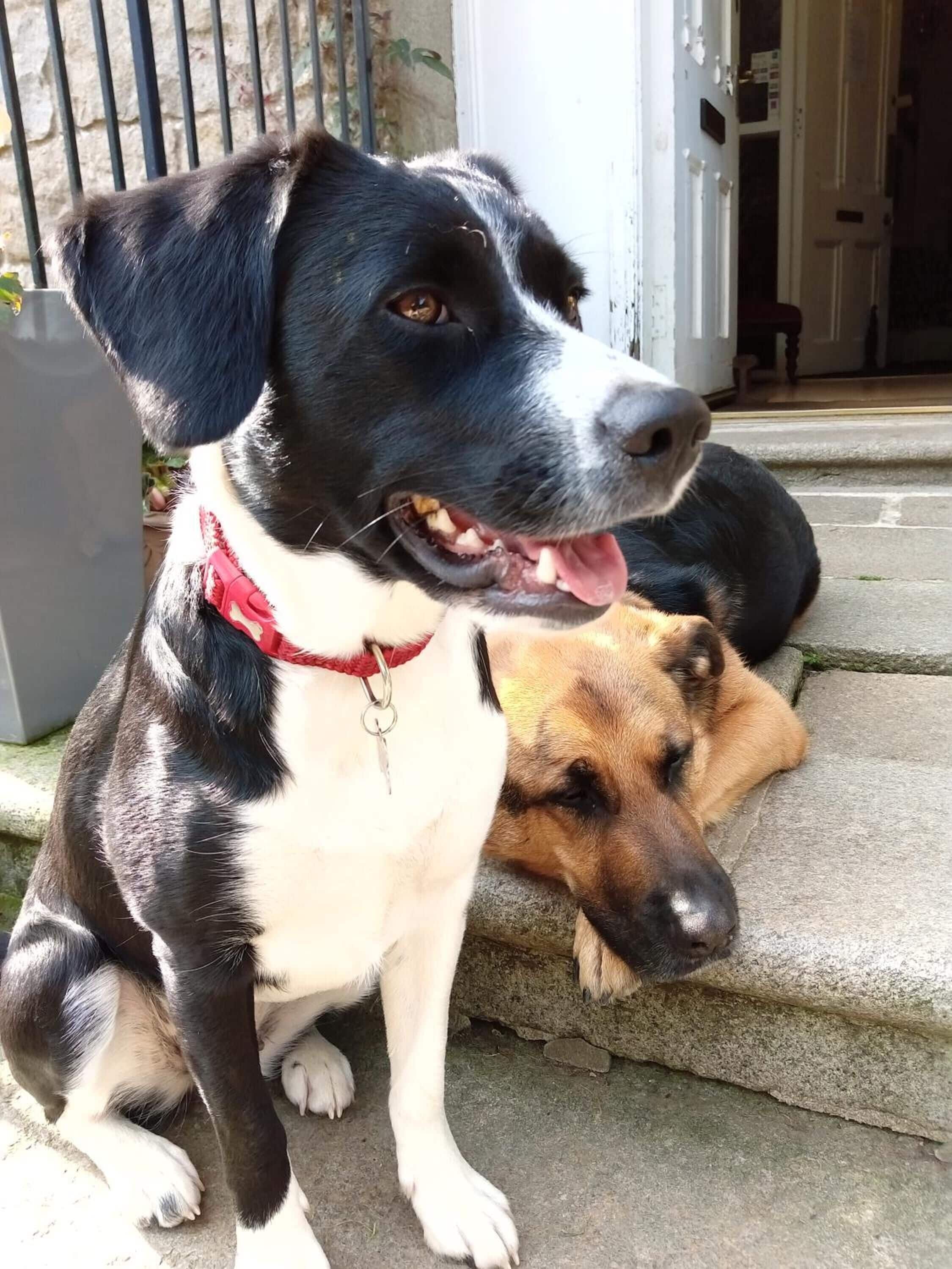 Foto - Disblair House