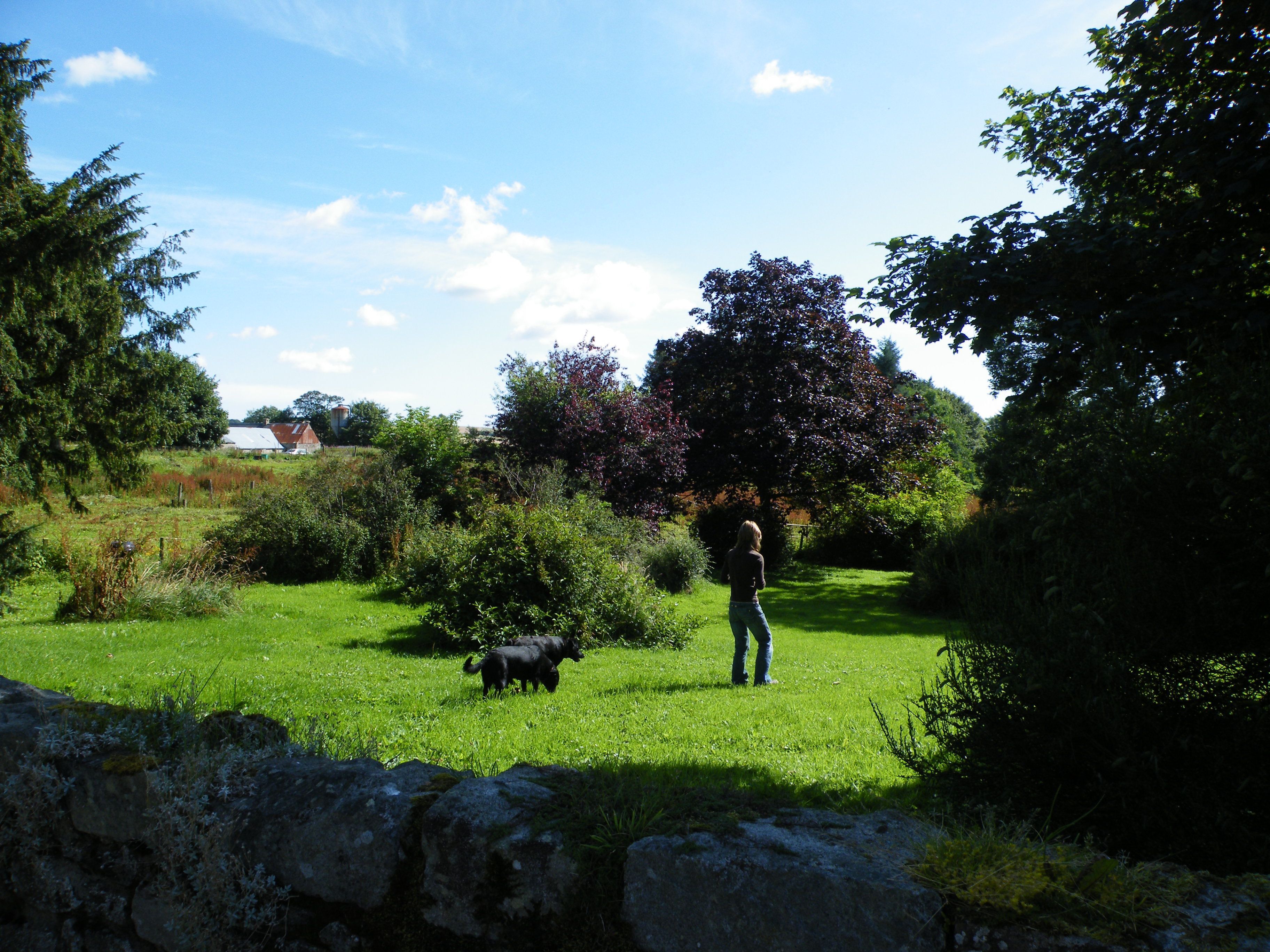 Foto - Disblair House