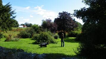 A rural landscape with a person standing in a grassy field, a dog, and a tree with purple leaves.