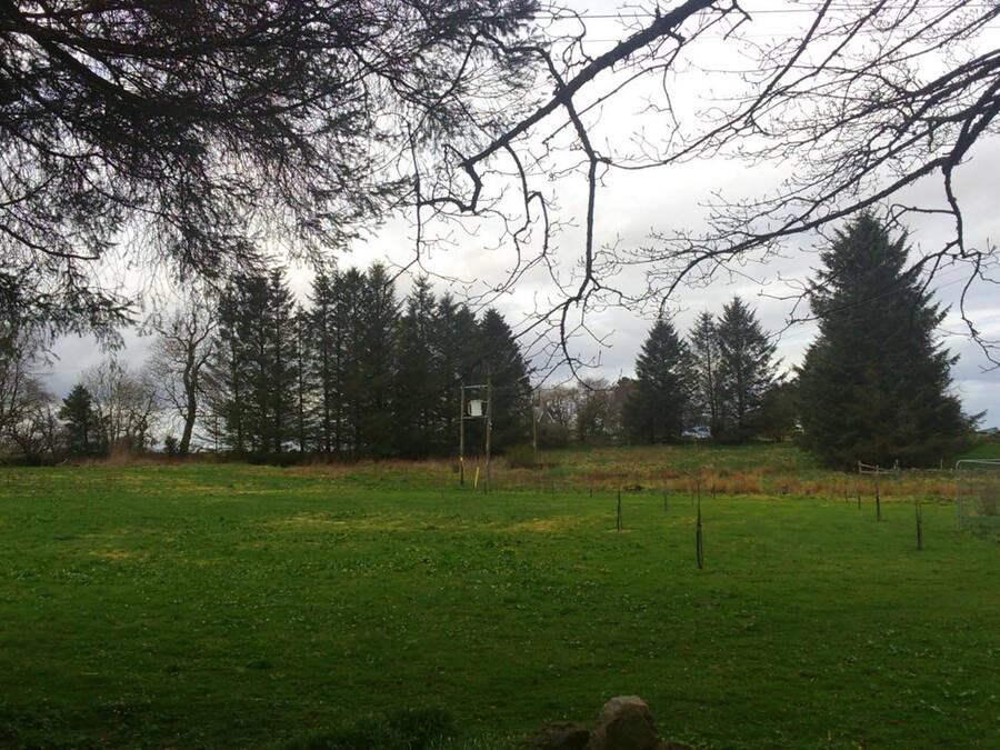 A grassy field with trees and a metal fence.