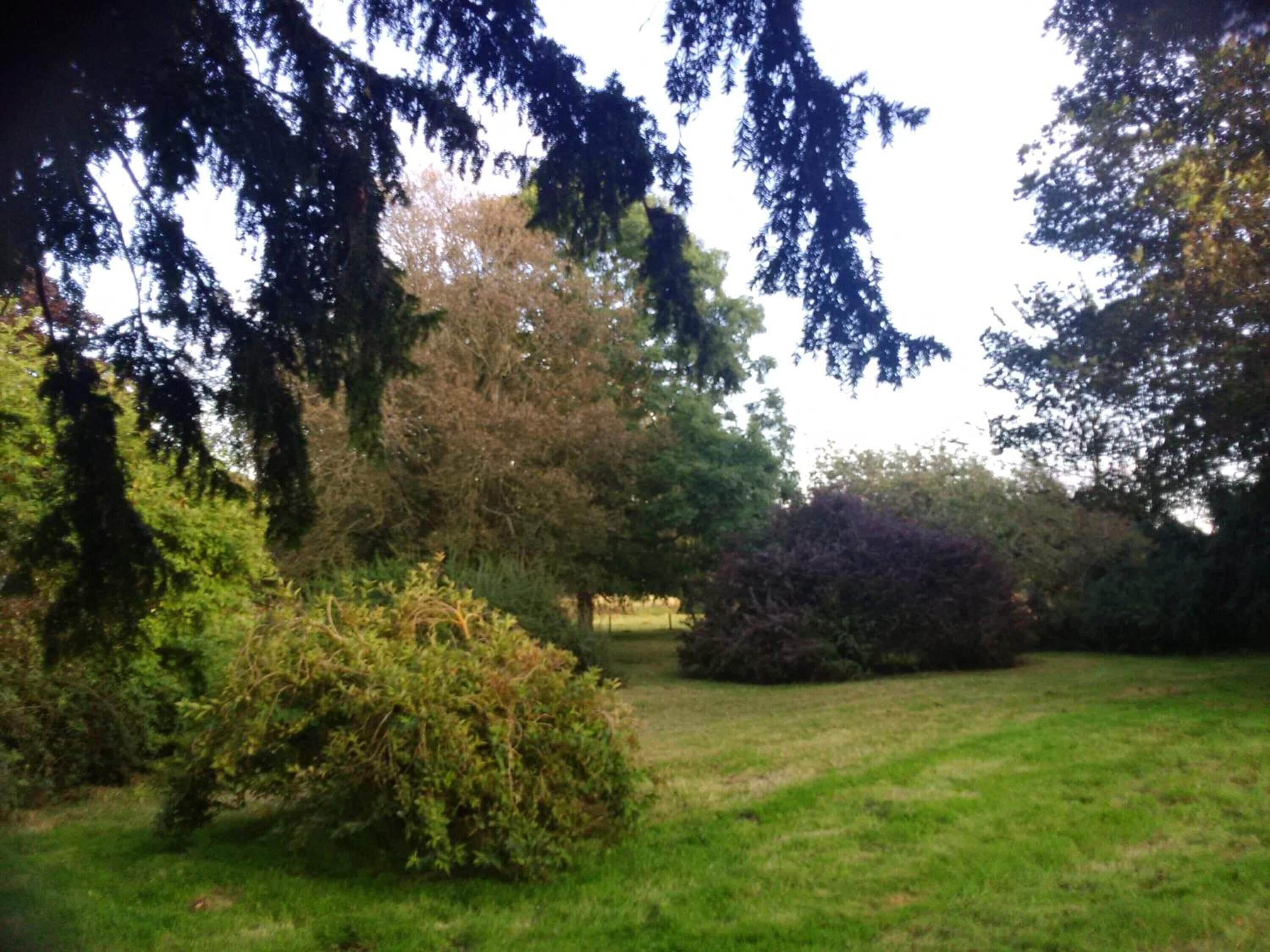 Foto - Disblair House