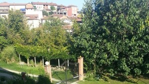 A residential area with a paved pathway leading to a gated entrance, surrounded by lush greenery and residential buildings in the background.
