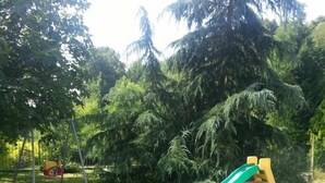 A playground with a slide and climbing structures, surrounded by trees and grass.
