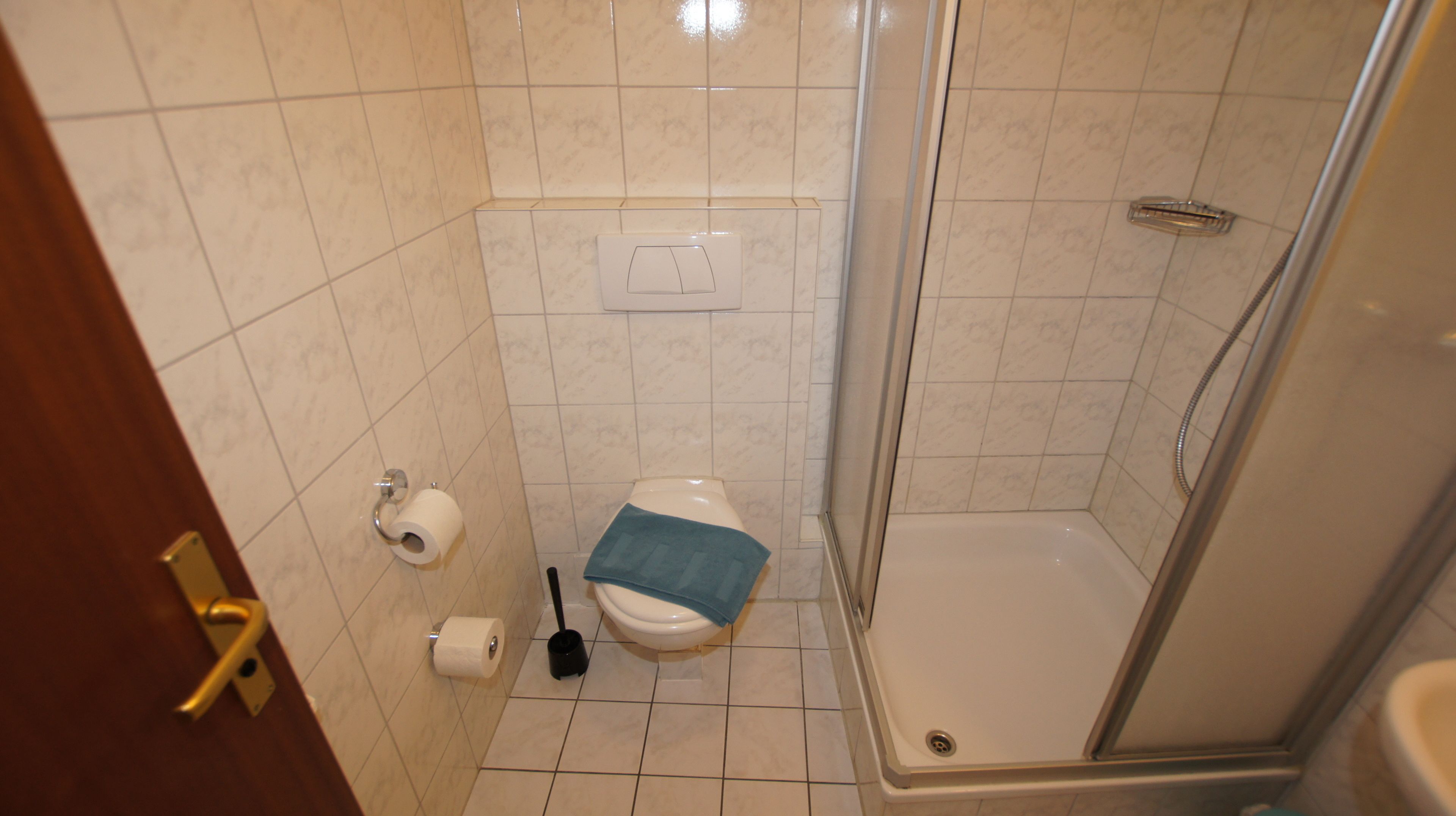 Een badkamer met een toilet, een douche en een toiletrolhouder.