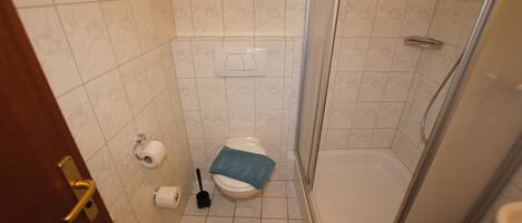 Een badkamer met een toilet, een douche en een toiletrolhouder.