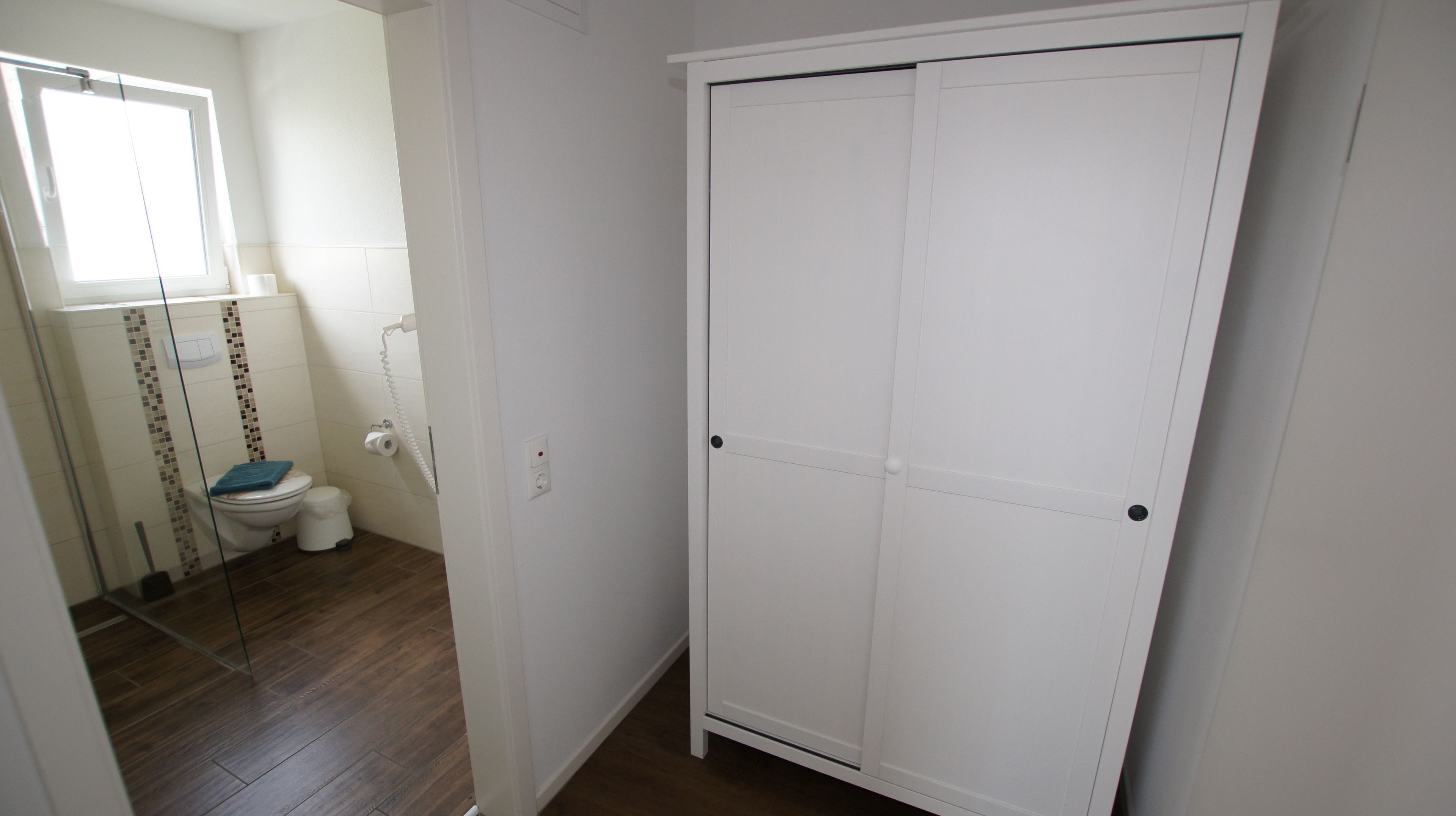 A bathroom with a toilet, a shower, and a white wardrobe.