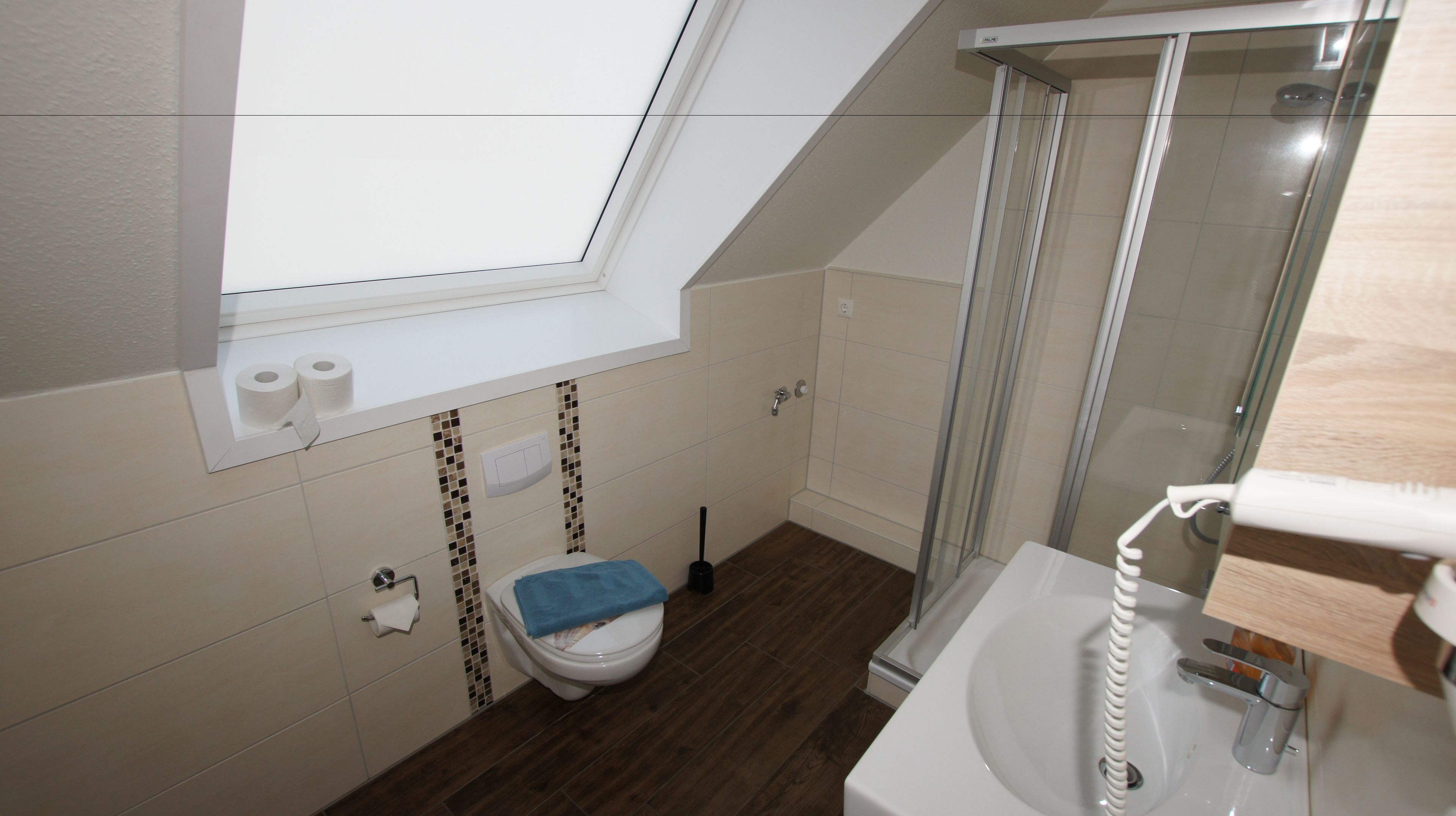 Une petite salle de bain moderne avec un puits de lumière, des toilettes, une douche et un lavabo.