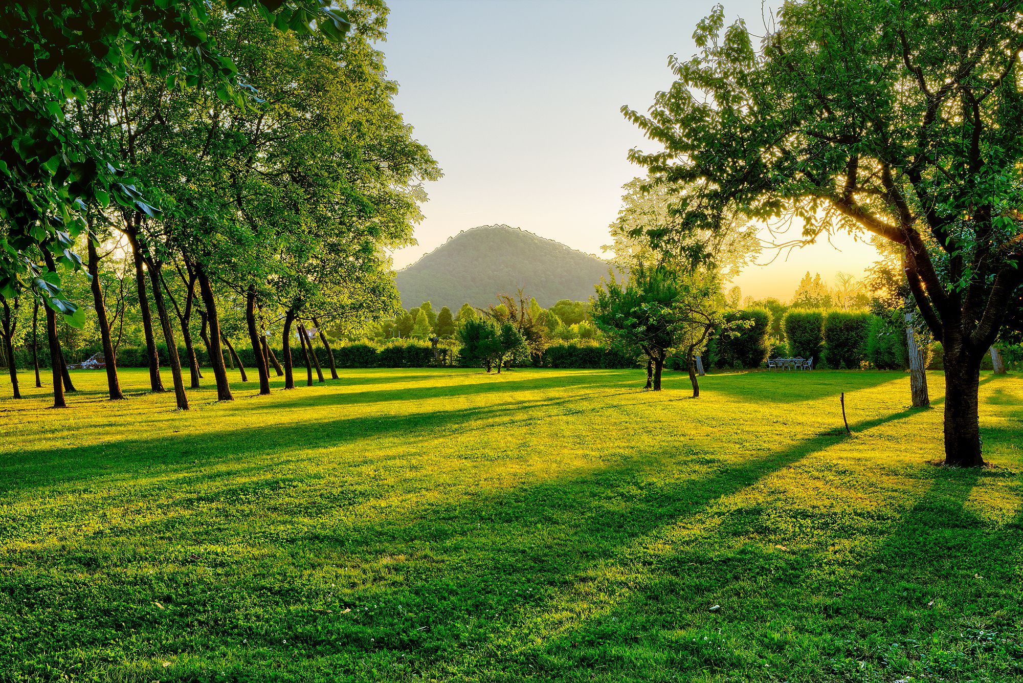 Foto - Agriturismo Corte d'acqua