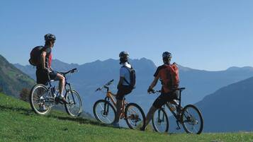 Drei Radfahrer auf einer grünen Hügelkuppe mit einem Bergpanorama im Hintergrund.