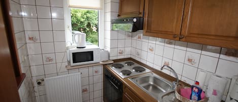 Appartement, 1 chambre, terrasse | Cuisine privée | Grand réfrigérateur, plaque de cuisson, bouilloire électrique