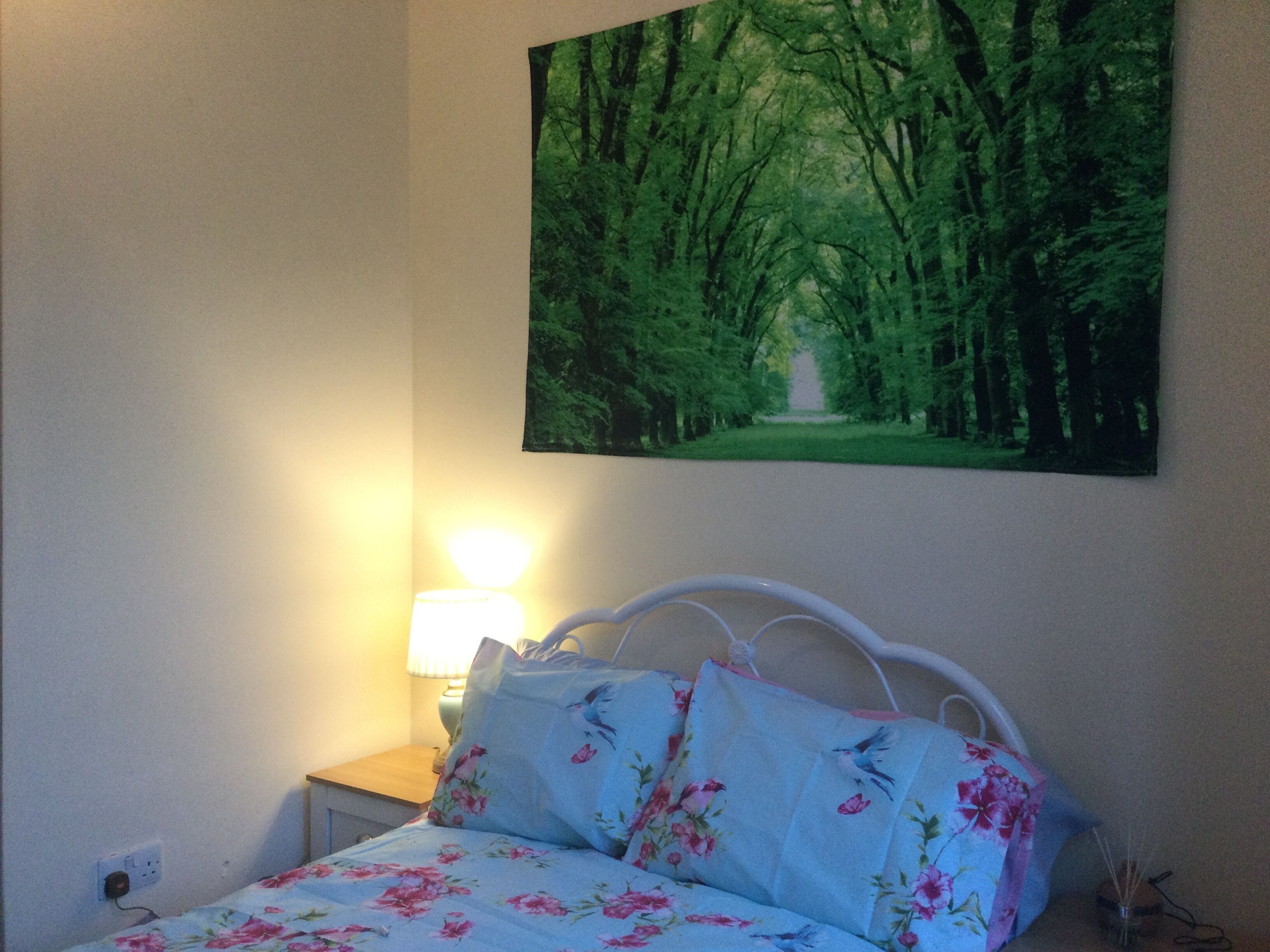 Foto - TDM Bachelot Lettings Ltd