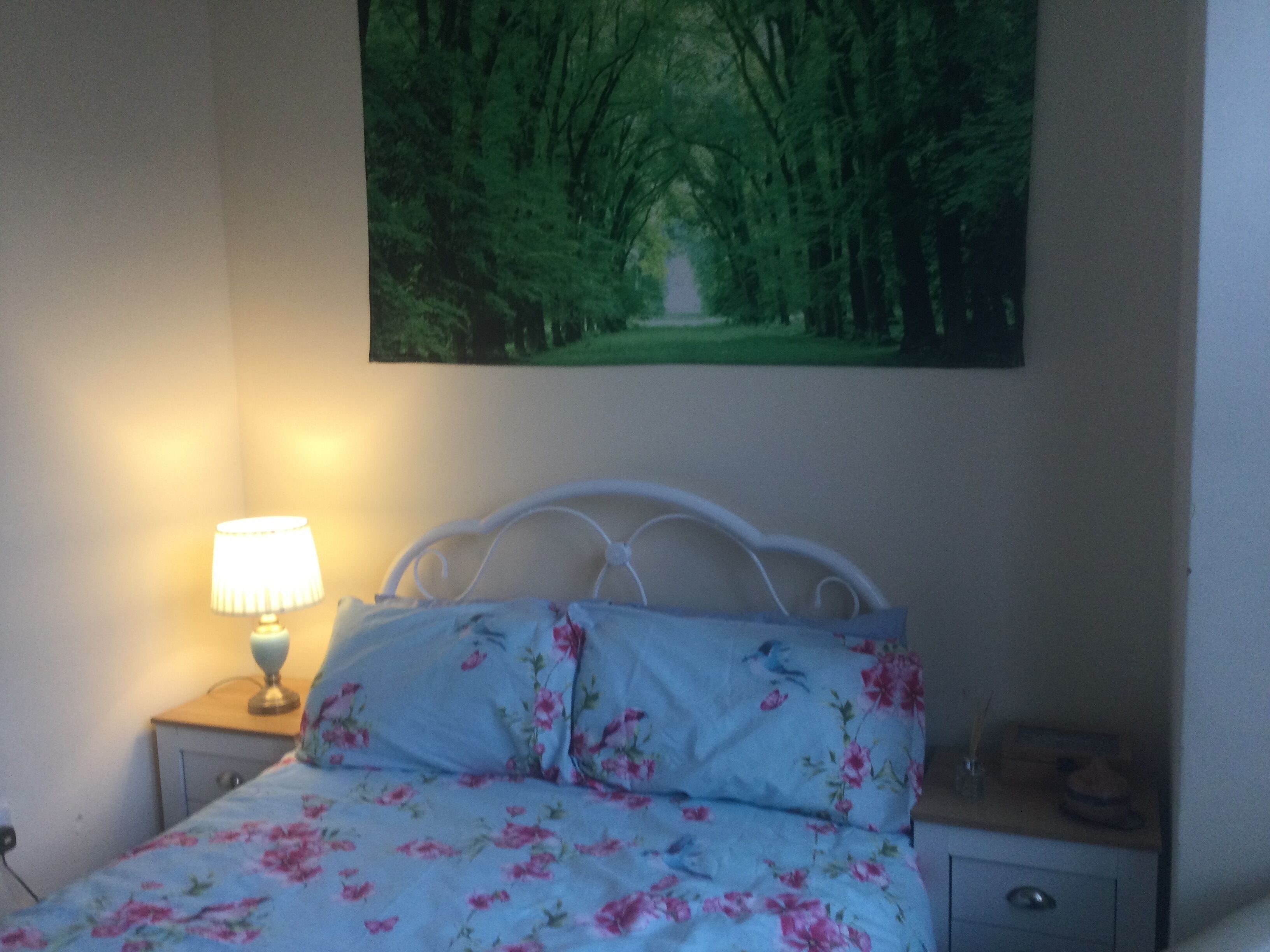 Foto - TDM Bachelot Lettings Ltd