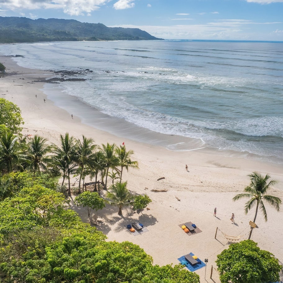 A beach with palm trees, a sandy shore, and a clear view of the ocean.