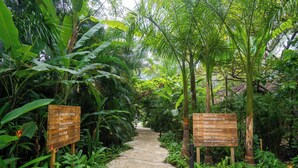 Un sendero de piedra atraviesa un exuberante jardín con letreros de madera que señalan servicios como piscina, restaurante y centro de bienestar.