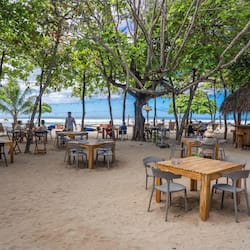 Guests can dine al fresco in a shaded beachfront setting with ocean views.