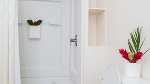 Ein Badezimmer mit Dusche, Toilette und einem kleinen Regal mit einer Pflanze.