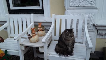 Pemandangan dari properti