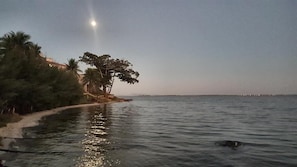 Aigua tranquil·la amb una riba poblada d'arbres i una vista llunyana d'un perfil urbà.