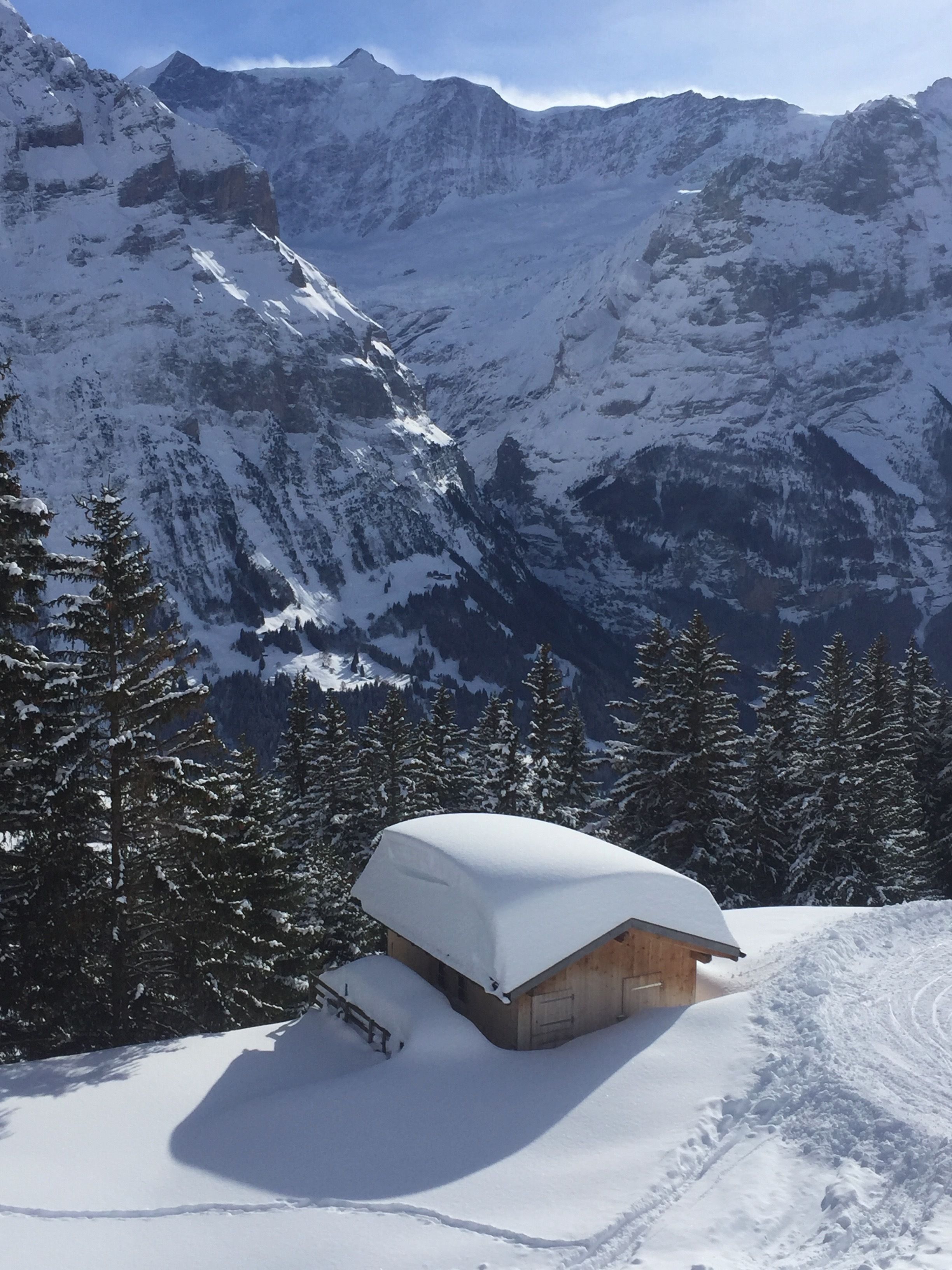 Un chalet de montagne enneigé, avec une façade en bois et un toit recouvert de neige, entouré d’arbres et de montagnes enneigés en arrière-plan.