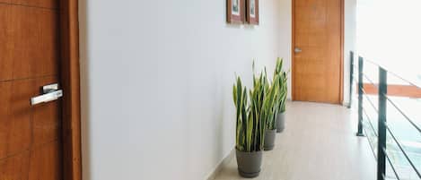 Un pasillo con puerta de madera, plantas en macetas y otra puerta de madera al final.