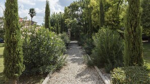 A gravel pathway flanked by tall, narrow evergreen trees and dense shrubbery, leading to a building with a visible entrance. - B&B La Chiusa Delle Monache (Lucca)