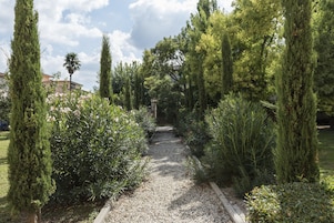 Ăreas de la propiedad