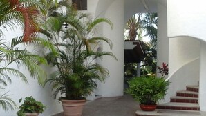 Um corredor com plantas em vasos, uma escada e uma parede branca.