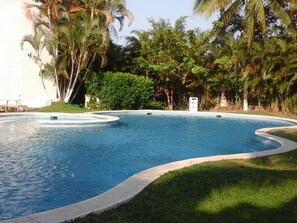 Una piscina de borde curvo, rodeada de abundante vegetación y palmeras.