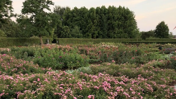 Land view from property - Spacious apartment close to Copenhagen (Hvidovre)