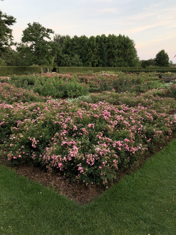 Land view from property - Spacious apartment close to Copenhagen (Hvidovre)