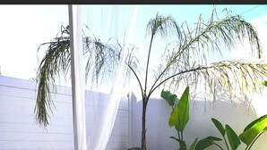 Un espace extérieur moderne aménagé avec un banc blanc, une lanterne et des plantes tropicales.