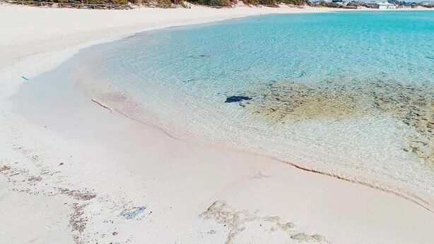 Une plage avec une eau claire et peu profonde, du sable blanc et une végétation luxuriante en arrière-plan.