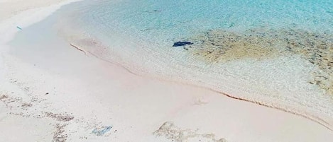 Navette pour la plage, parasols
