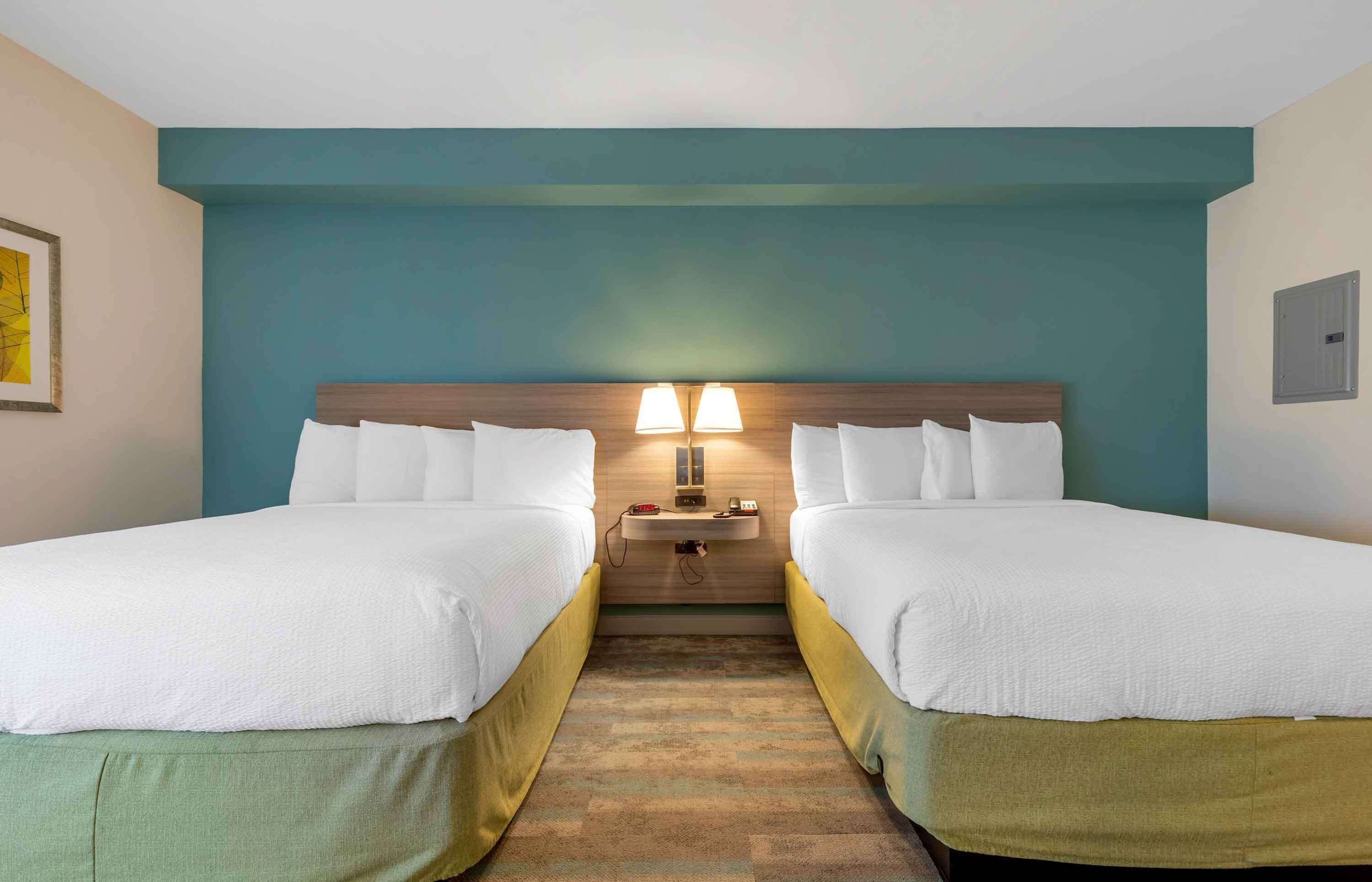 superior studio, multiple beds, non smoking | premium bedding, desk, iron/ironing board, free wifi