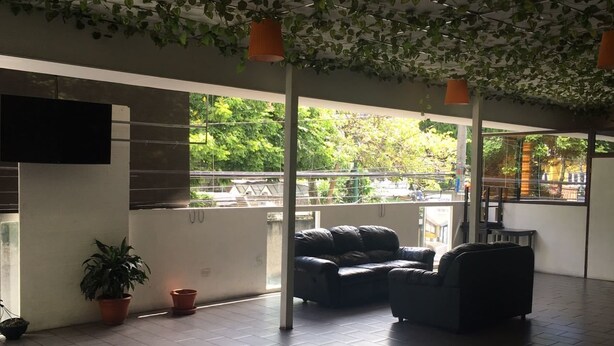 Un espacio interior amplio con sofá, una silla, plantas en macetas y un televisor montado en la pared.