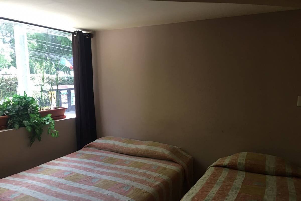 A room with two beds, a window with curtains, and a potted plant on the windowsill.