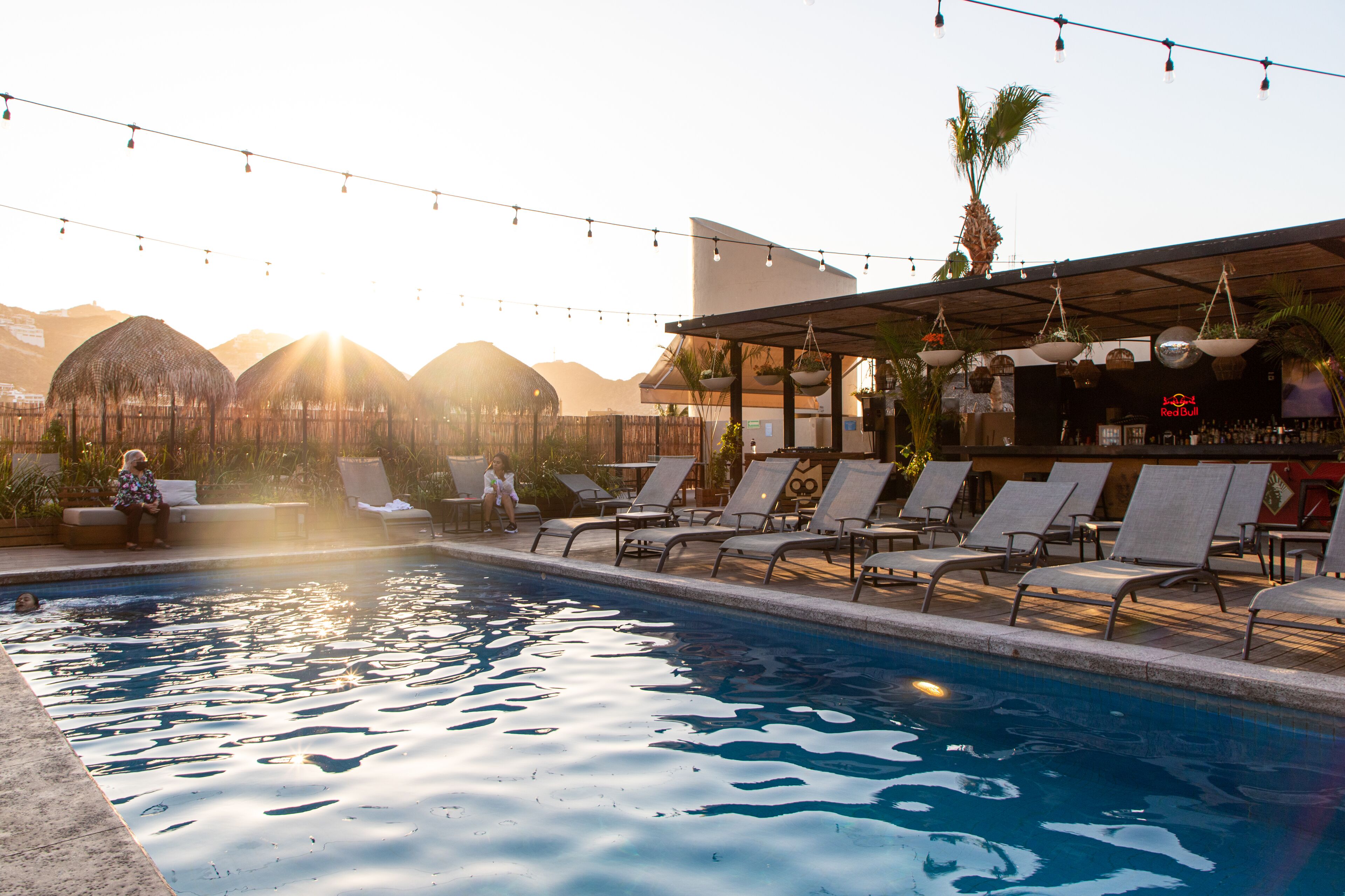 Foto - Mayan Monkey Los Cabos - Social Hotel