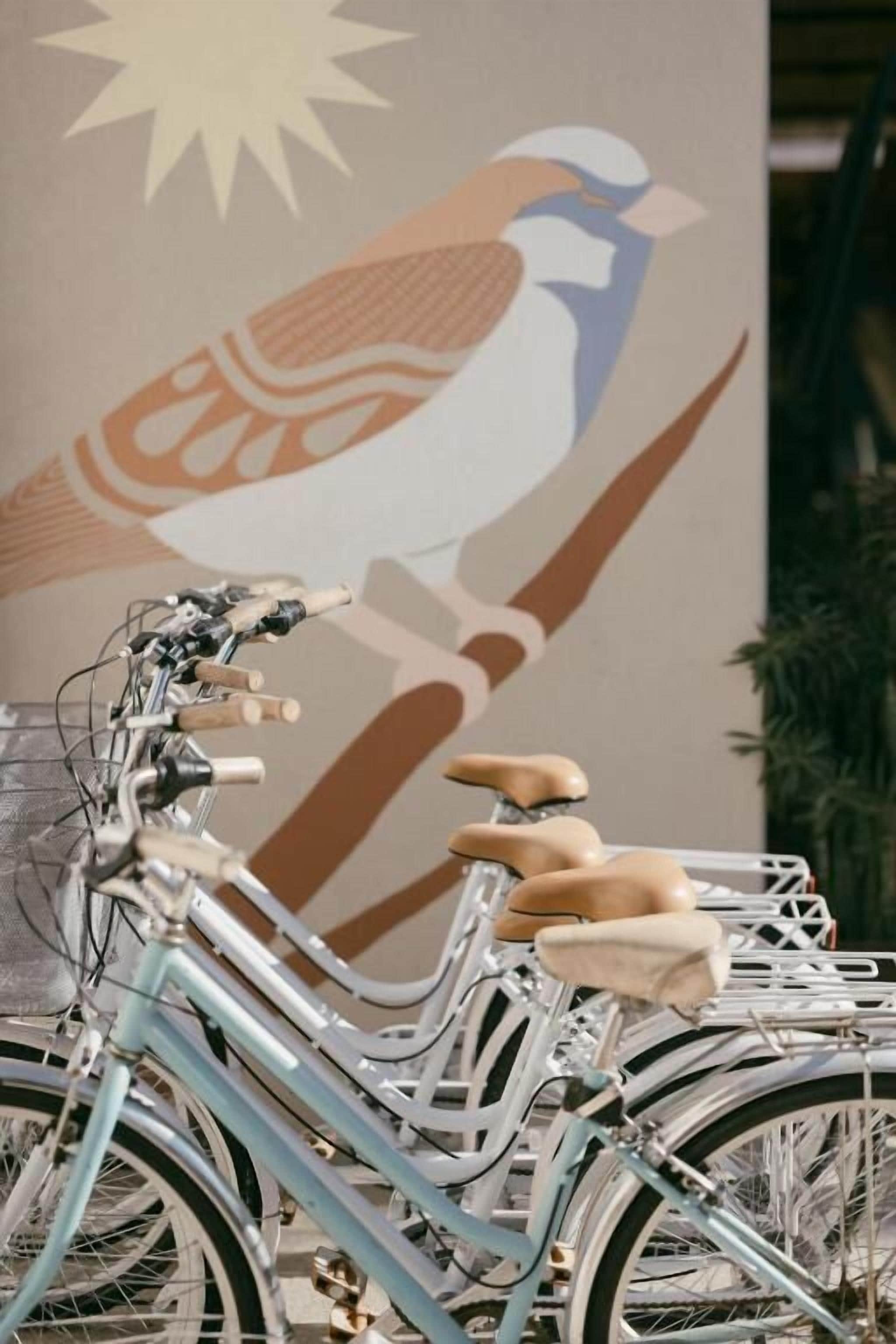 Foto - Mayan Monkey Los Cabos - Social Hotel