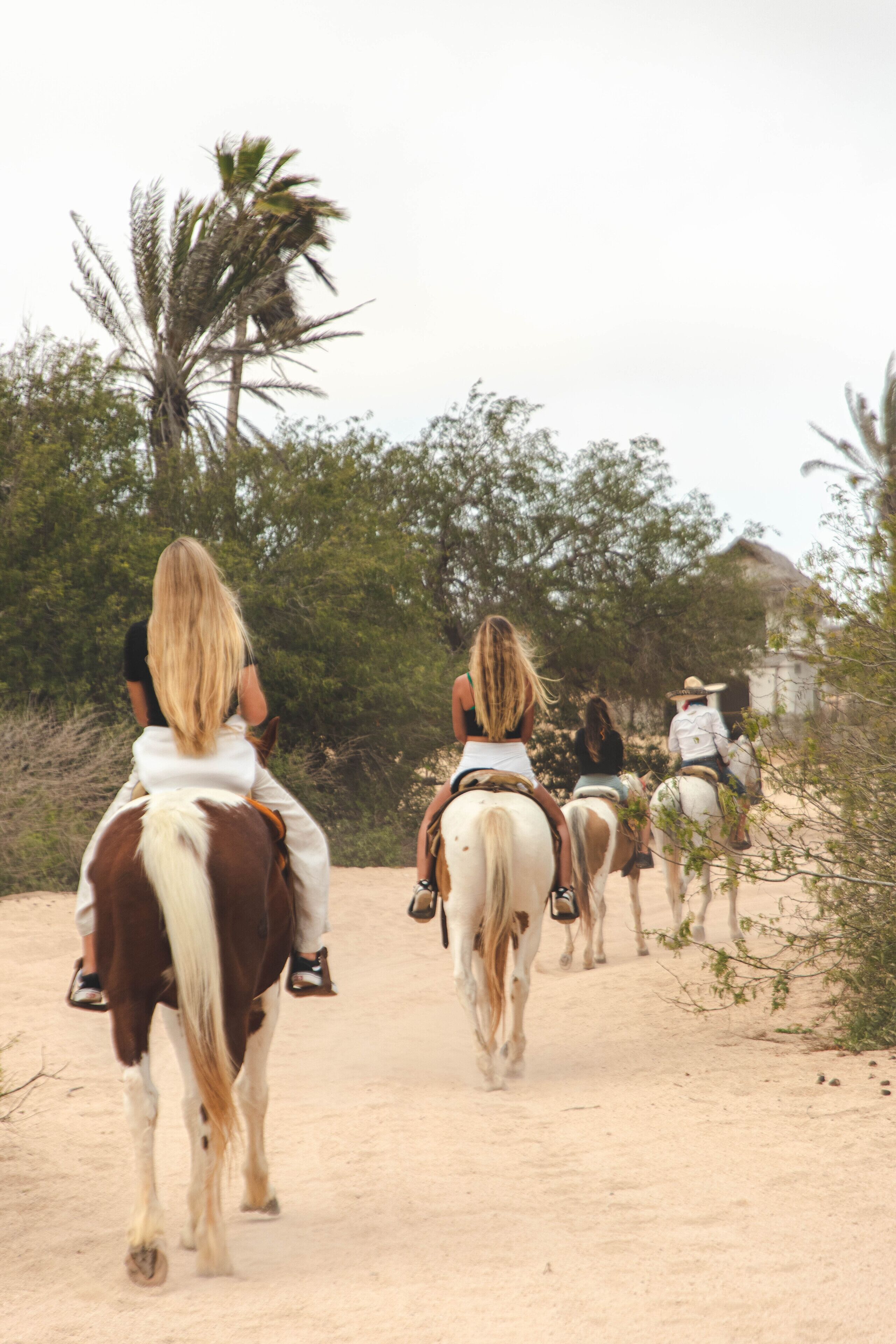 Foto - Mayan Monkey Los Cabos - Social Hotel