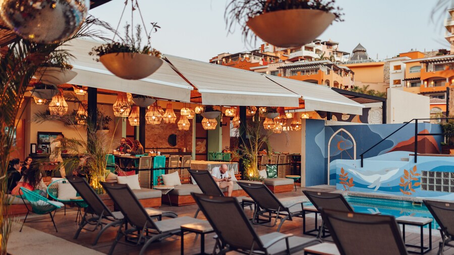 Mayan Monkey Los Cabos | Social Hotel