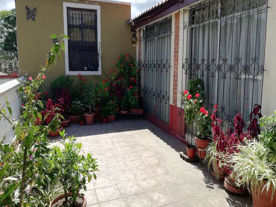 Terraço/pátio