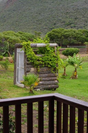 Familiebungalow - handicapvenligt - udsigt til have (Nature) | Udsigt fra værelset