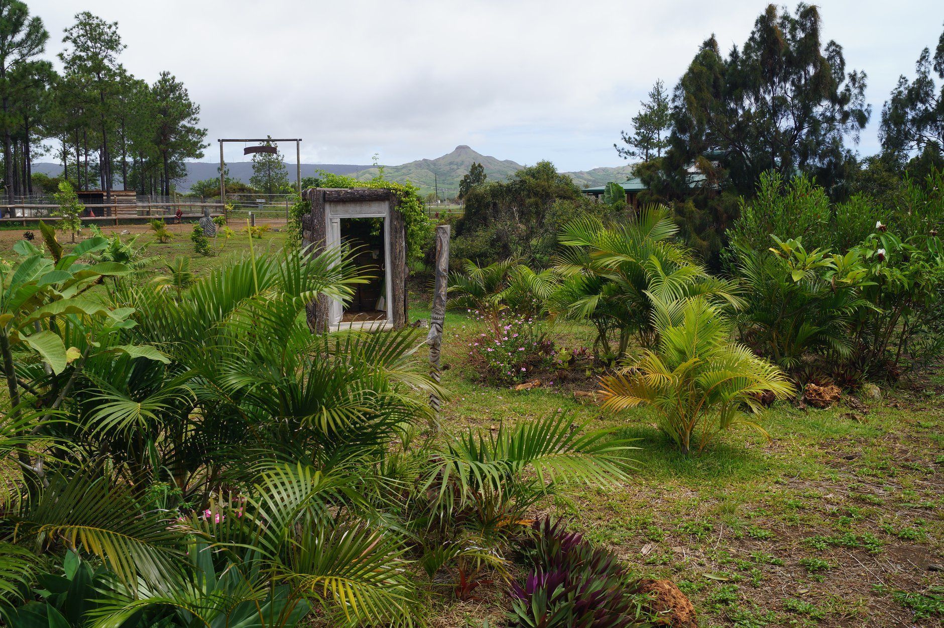 المنطقة المحيطة بالمنشأة