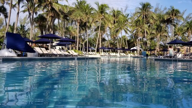 Une piscine entourée de palmiers, avec des chaises longues et des parasols.