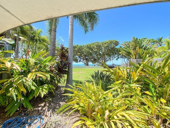 A tropical garden with various plants and palm trees, a clear blue sky, and a view of the ocean.