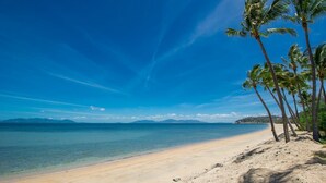 A beach with clear blue sky, calm sea, and palm trees.