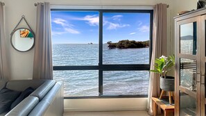 电视、DVD 播放器