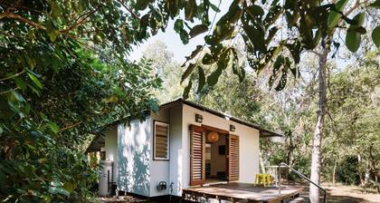 The Little Bush Hut